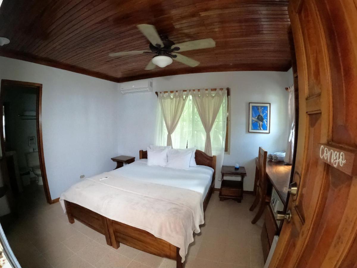 Casa Cecilia Beach Front Playa Santa Teresa  Εξωτερικό φωτογραφία