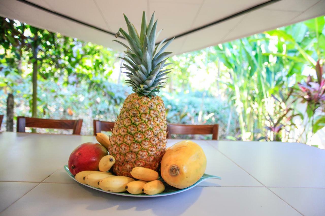 Casa Cecilia Beach Front Playa Santa Teresa  Εξωτερικό φωτογραφία